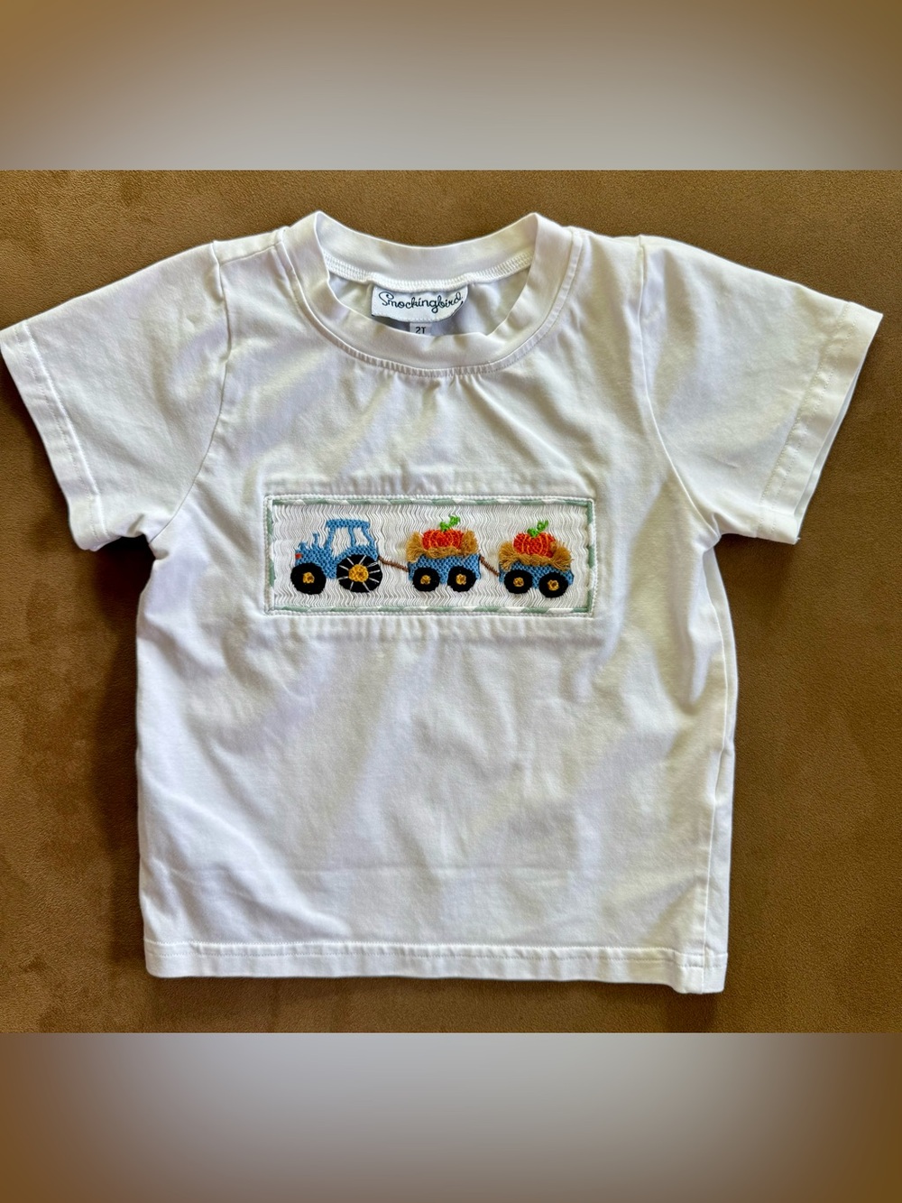 Smockingbird Fall Smocked Shirt